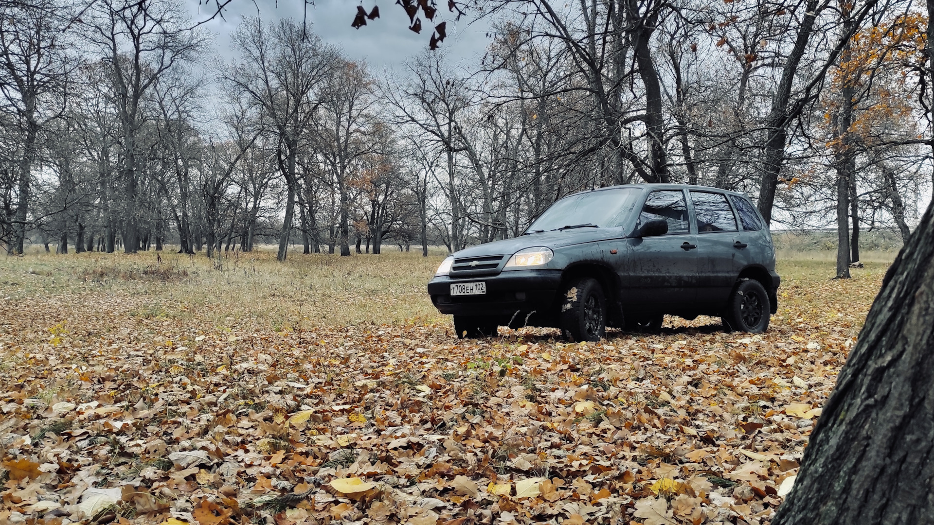 Chevrolet Niva 1.7 бензиновый 2004 | старый добрый хлам на DRIVE2