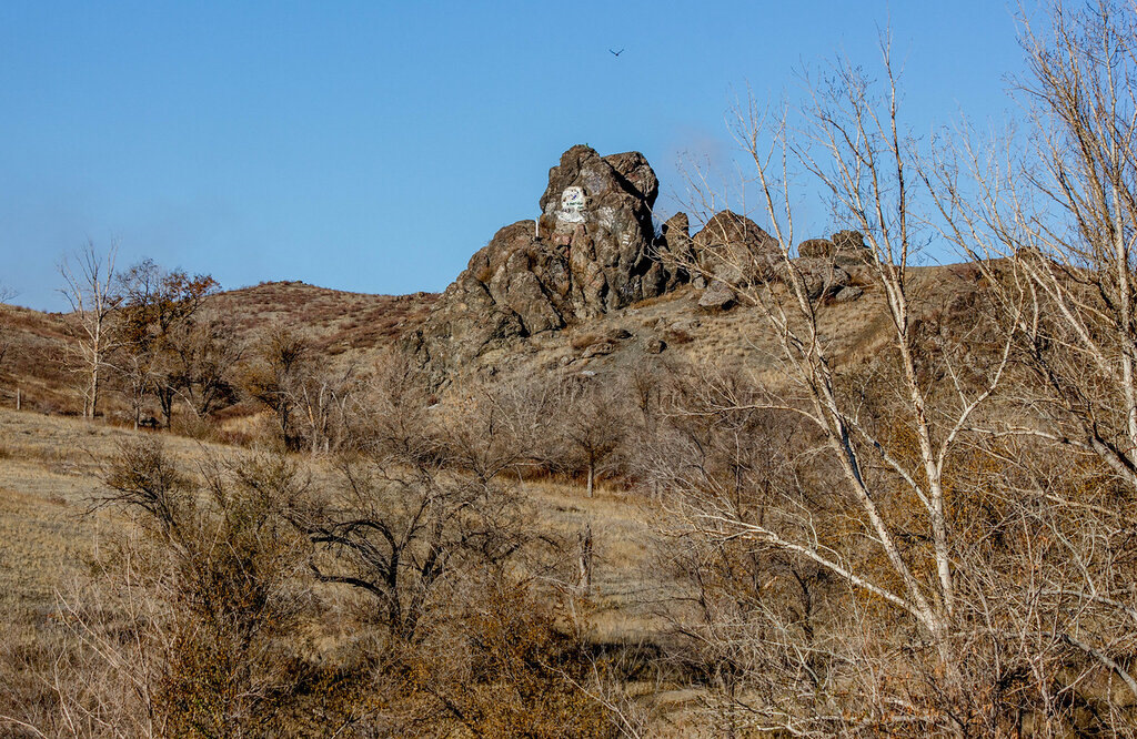 Гора полковник