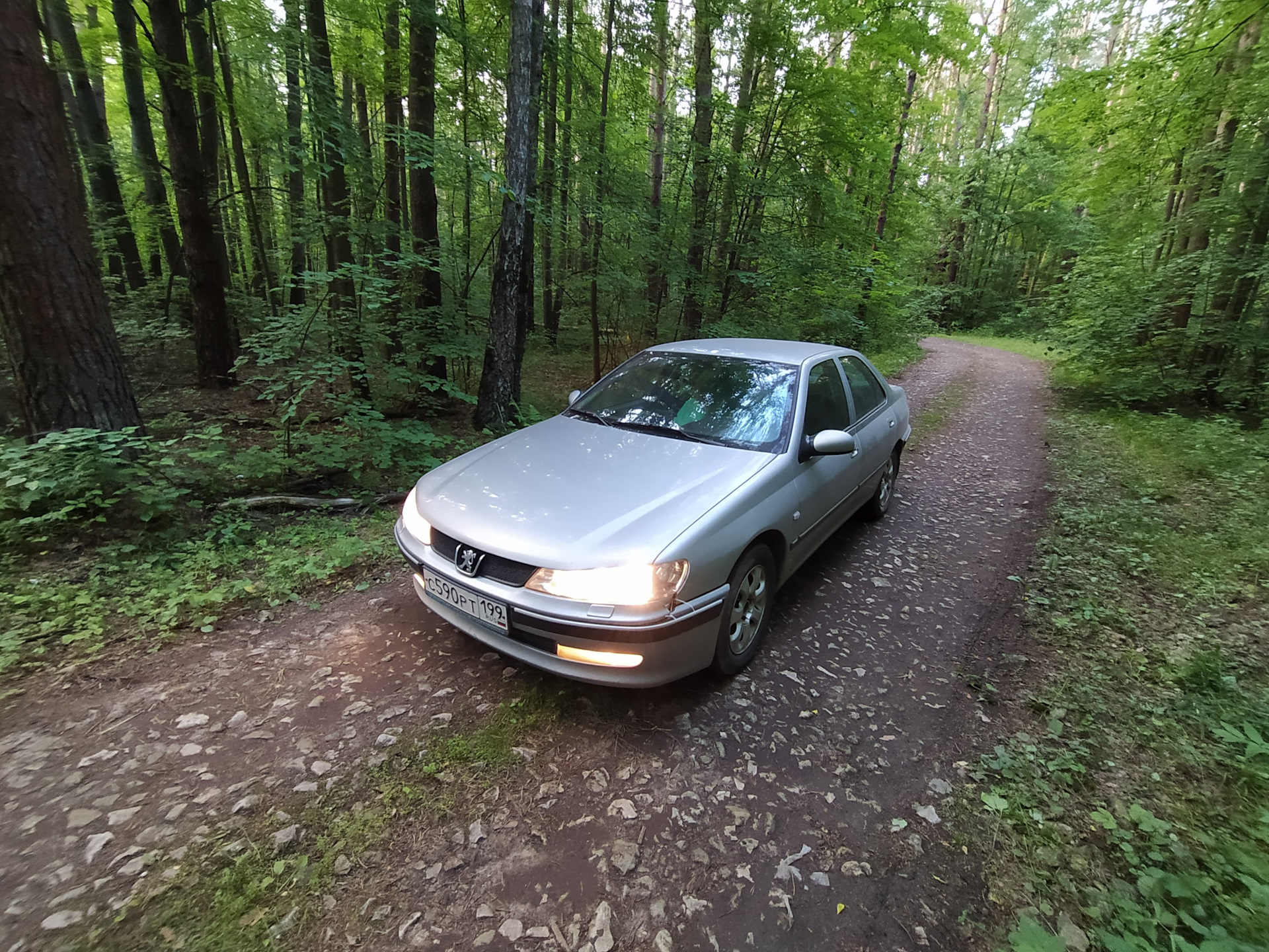 Поездка на реку Оку — Peugeot 406, 1,8 л, 2002 года | поломка | DRIVE2