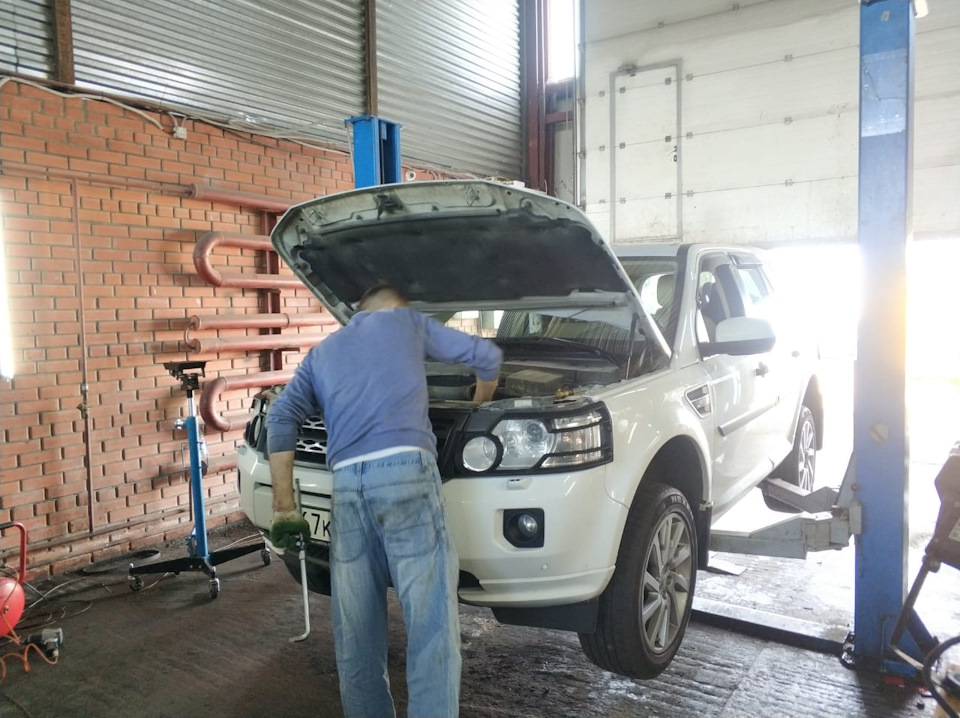 Фото в бортжурнале Land Rover Freelander 2