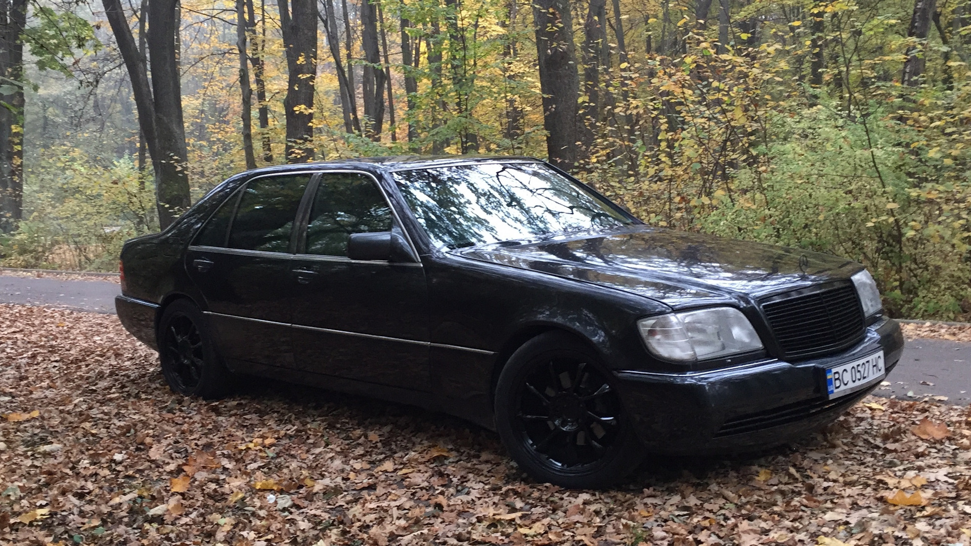 Mercedes-Benz S-Class (W140) 5.0 бензиновый 1993 | на DRIVE2