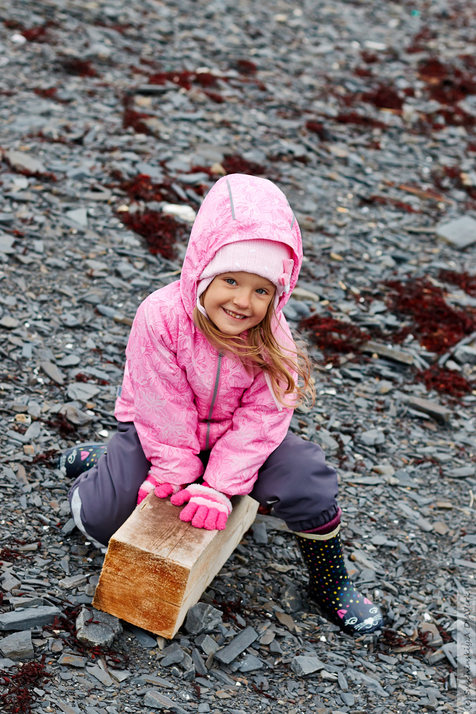 Фото в бортжурнале SsangYong Kyron