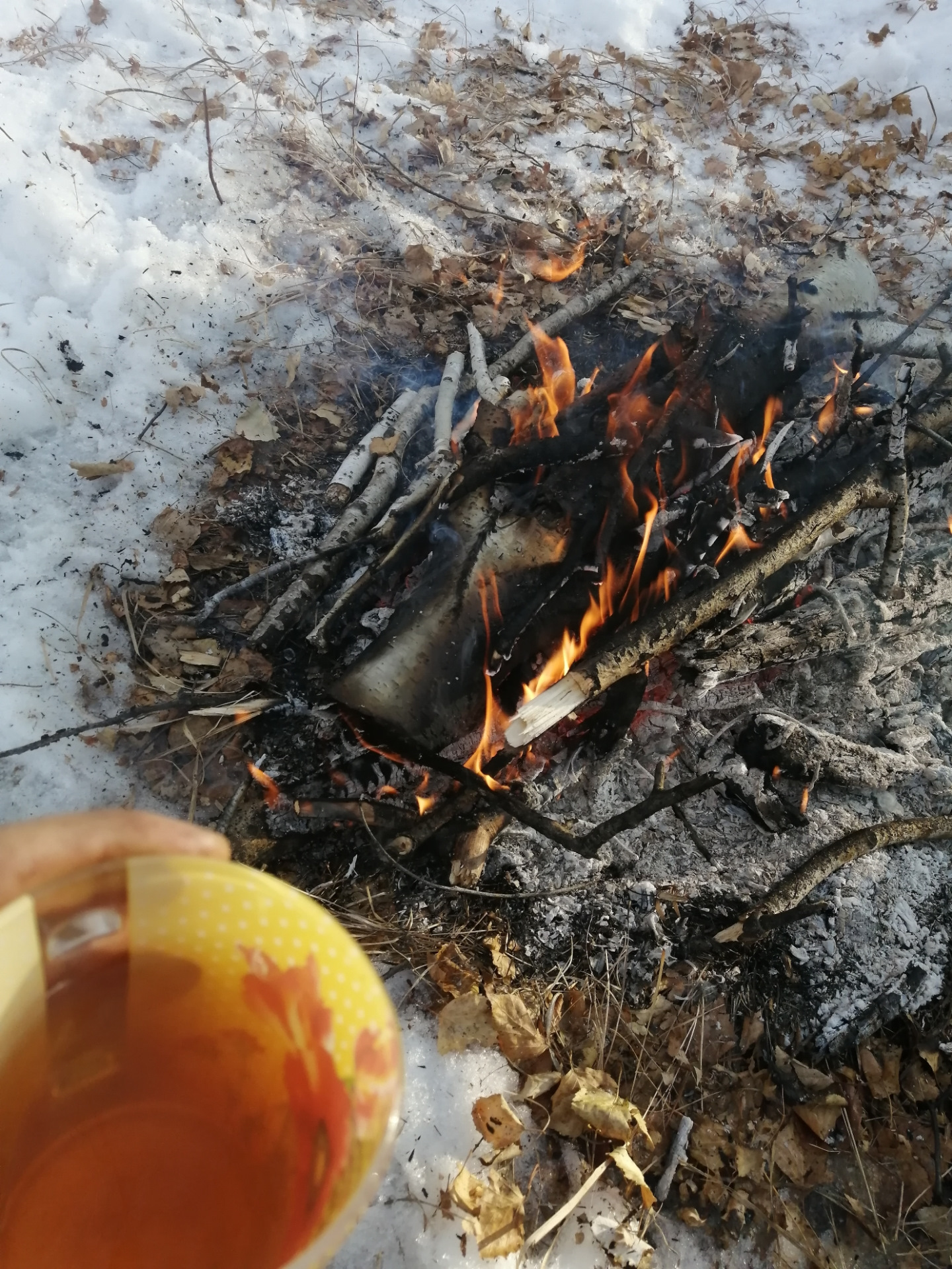 В березовом лесу — DRIVE2