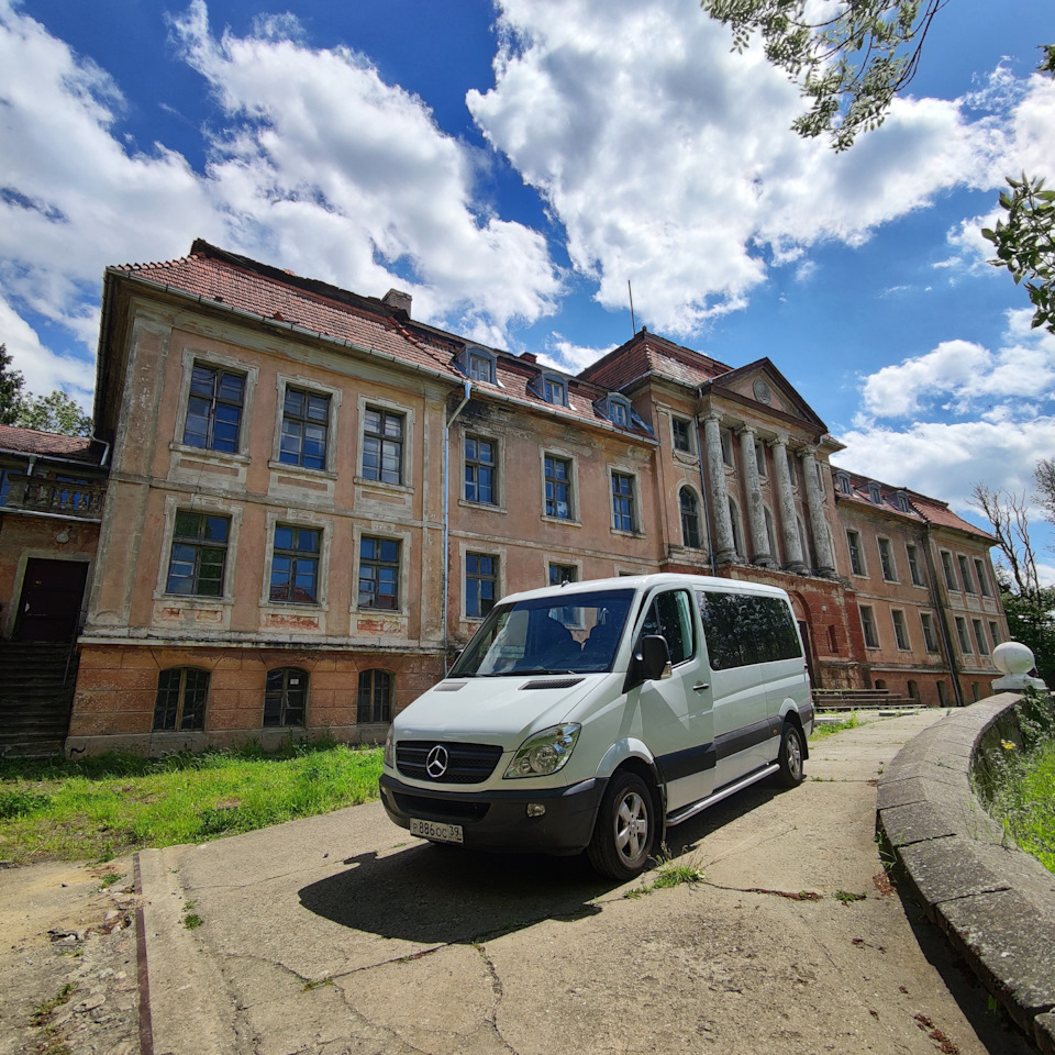 Сотни крыш автобусных остановок города утрехт в нидерландах покрыли растениями для каких целей