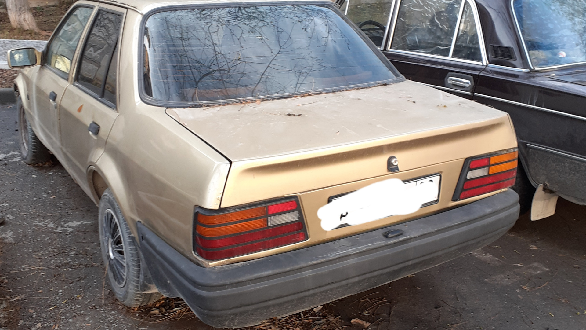 Ford Orion (2G) 1.6 бензиновый 1989 | на DRIVE2