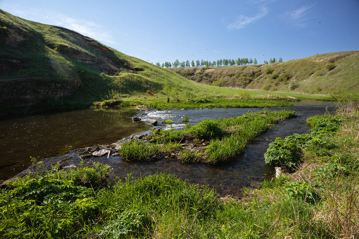 Аргамач пальна