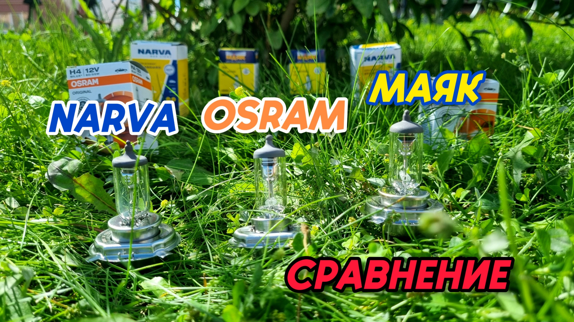 Сравниваем МАЯК ORIGINAL PRO H4, OSRAM ORIGINAL H4, NARVA STANDARD H4 ...