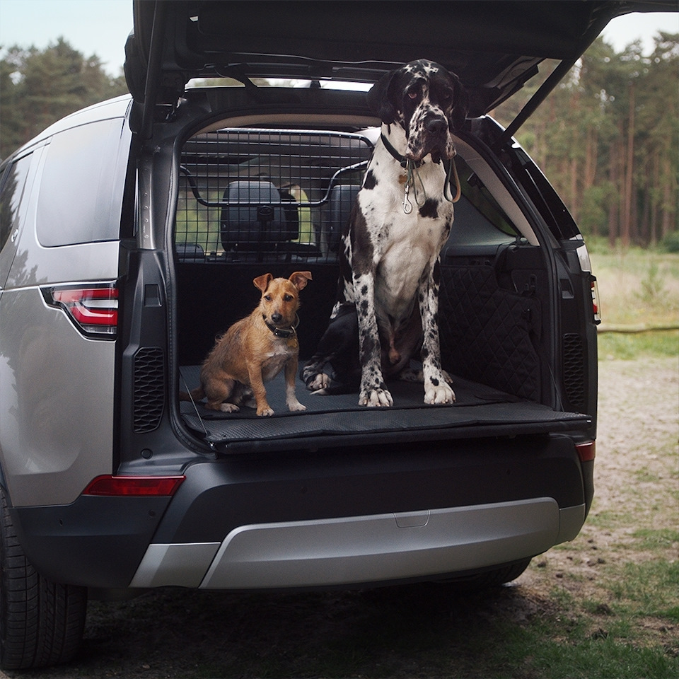 Собаки Лэнди и Ровер знают толк в достойных автомобилях.👍 — Авилон ...
