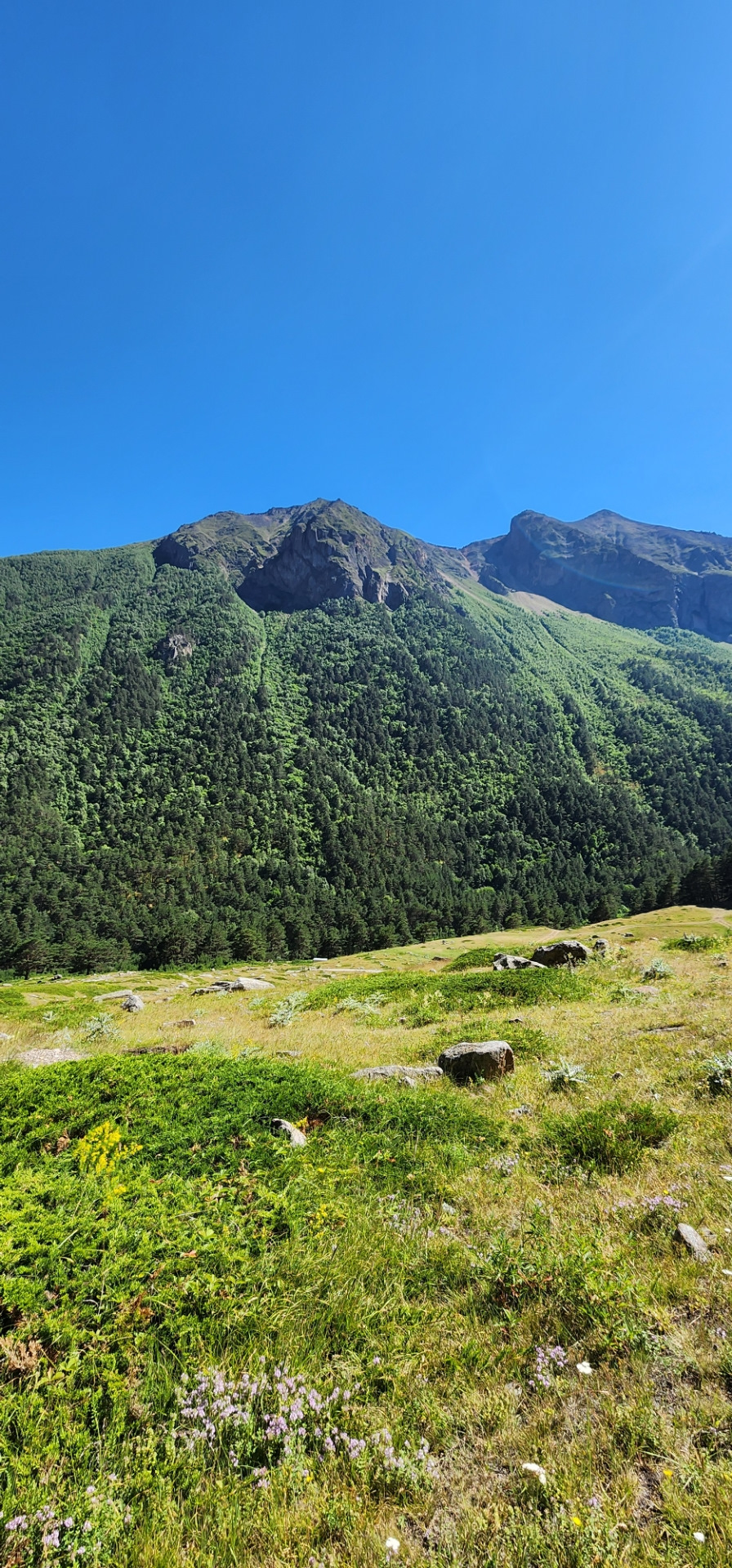 Фото в бортжурнале Mitsubishi Pajero Sport (3G)