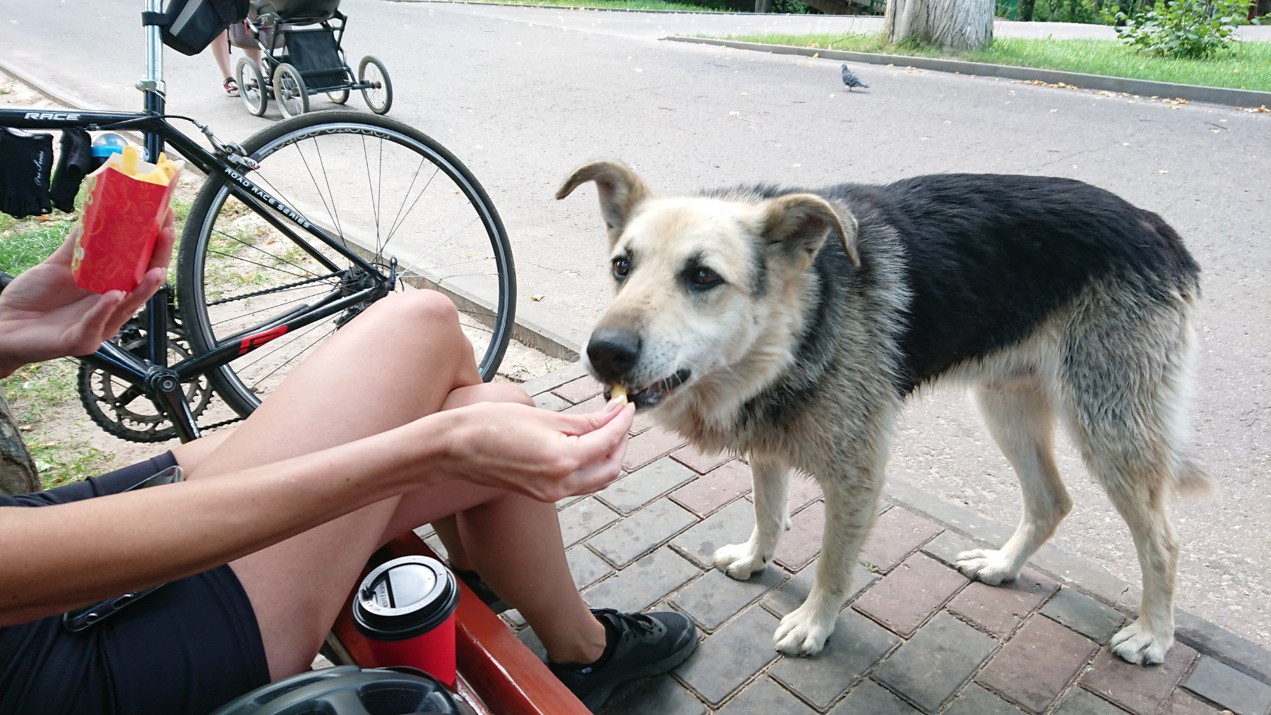 Проверить косточки) — Сообщество «Без Мотора (вело сообщество)» на DRIVE2