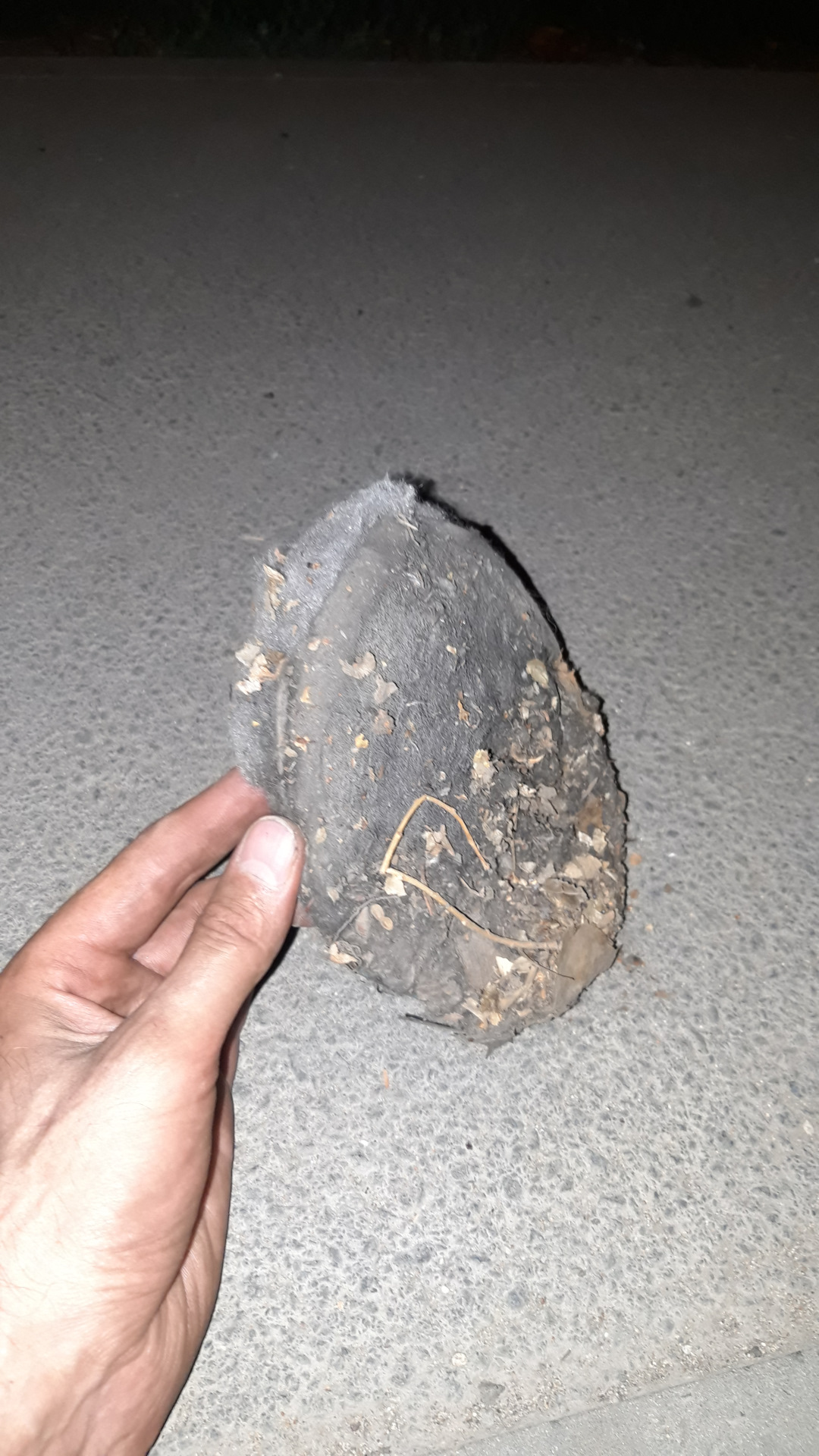 Что делать, если плохо дует печка на лобовое стекло? — Daewoo Nexia (2G ...