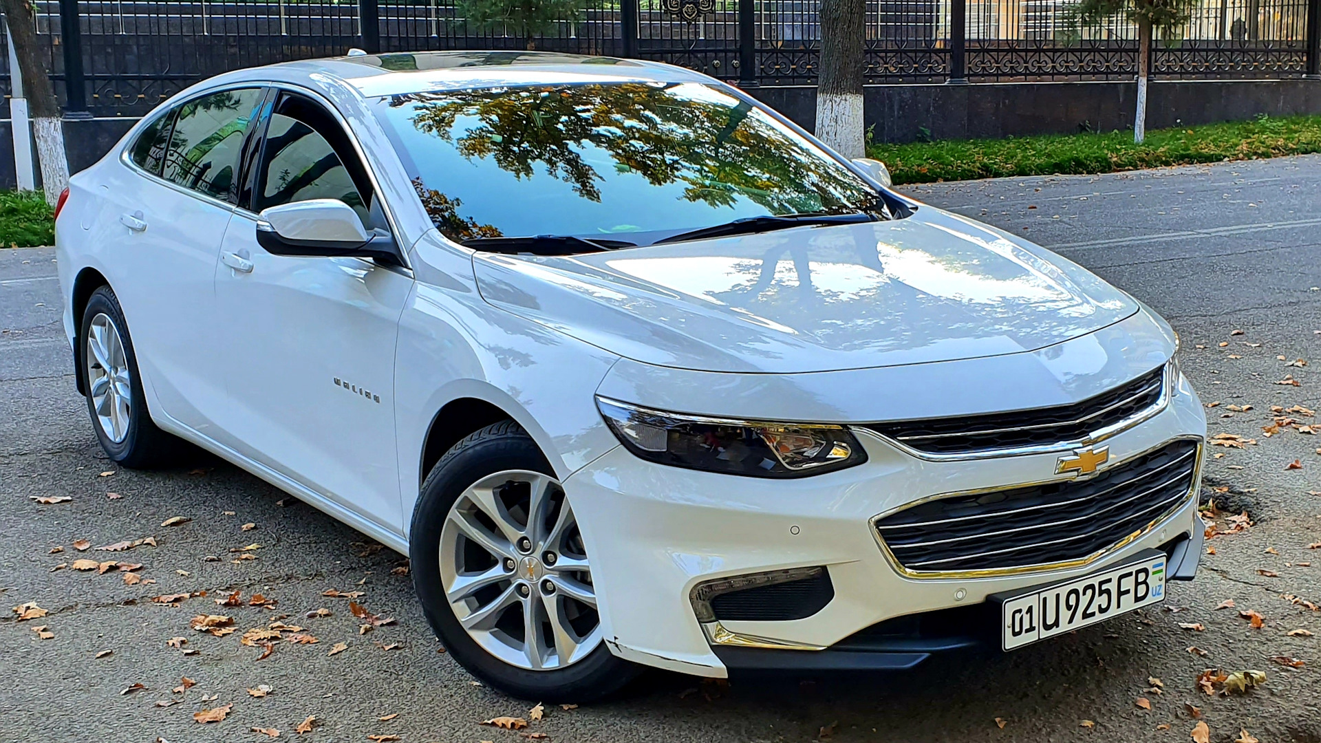 Chevrolet Malibu (9G) 2.5 бензиновый 2019 | Белая янки на DRIVE2