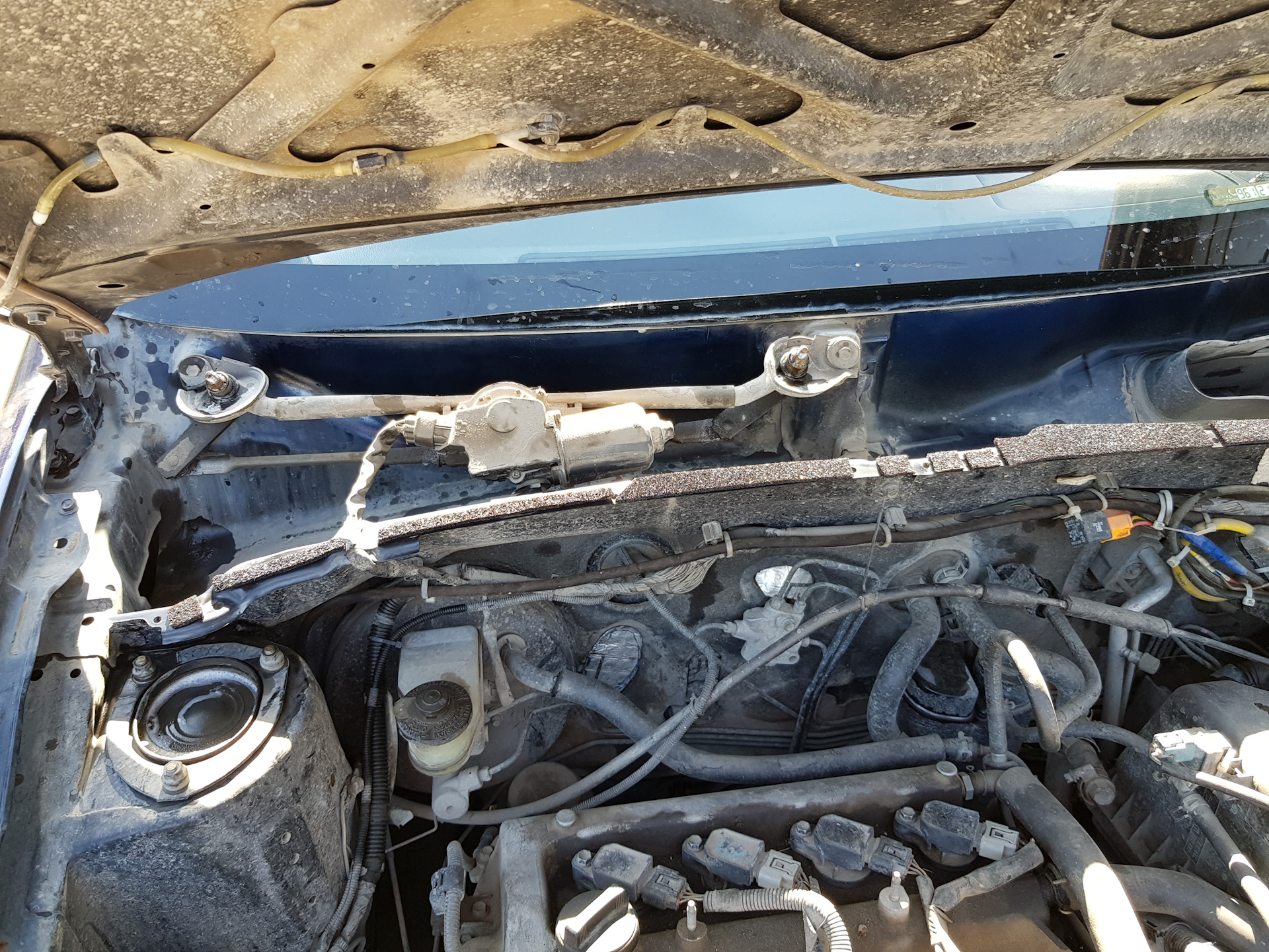 Как снять жабо тойота Скрип у лобового от жабо - Toyota Probox, 1,5 л, 2002 года своими руками DRIVE2