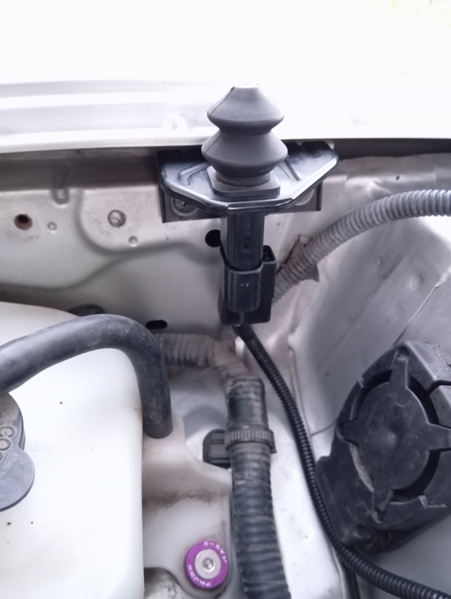 27. Концевик капота Airtrek — Toyota Corolla Fielder (E140), 1,5 л ...