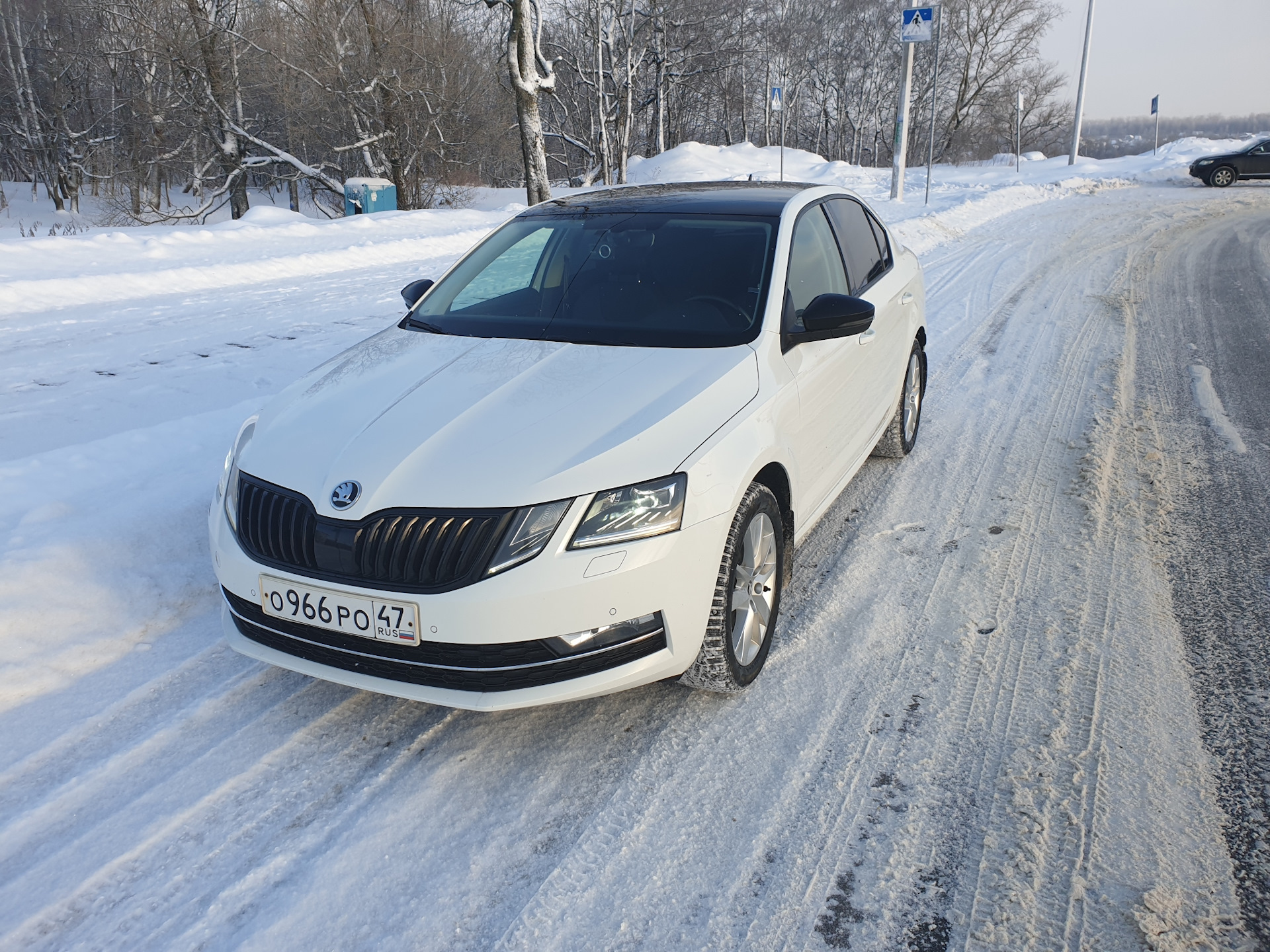 Skoda Octavia a7 зима