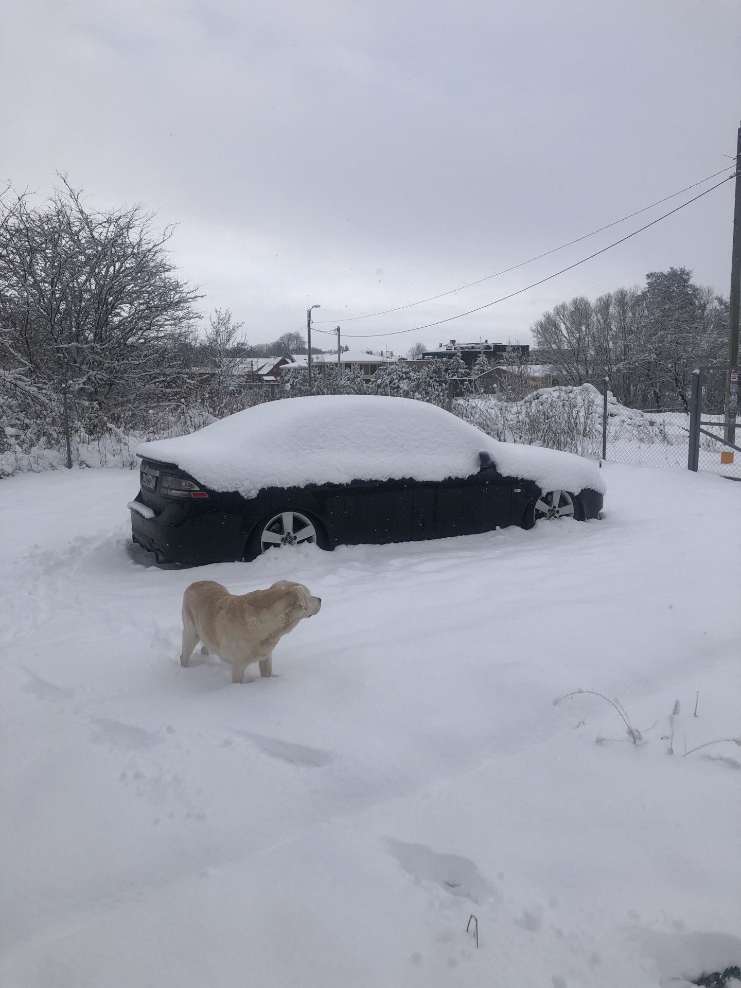 Итоги содержания ведерка за 5 год владения — Saab 9-3 (2G), 2 л, 2008 ...