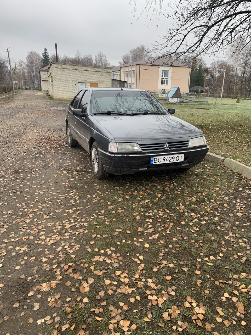 Год владения французским львом🦁 — Peugeot 405, 1,9 л, 1988 года | просто  так | DRIVE2