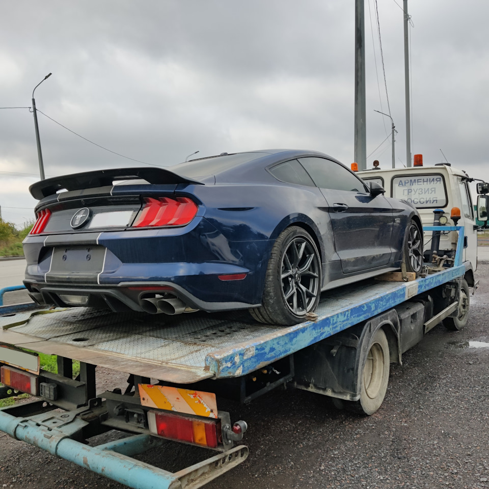 Покупка и доставка — Ford Mustang (6G), 2,3 л, 2019 года | покупка машины |  DRIVE2