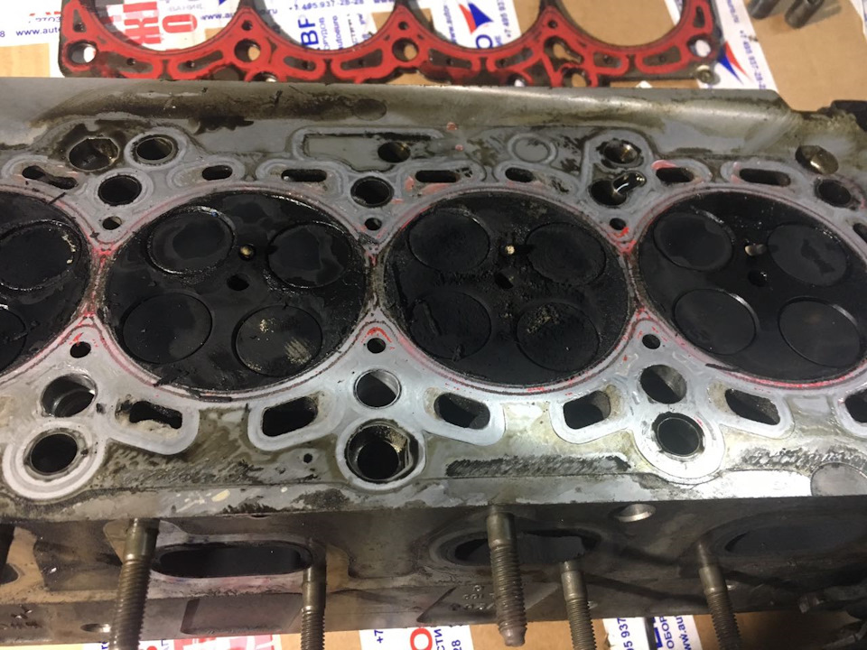 Фото в бортжурнале Volkswagen Multivan (T5)