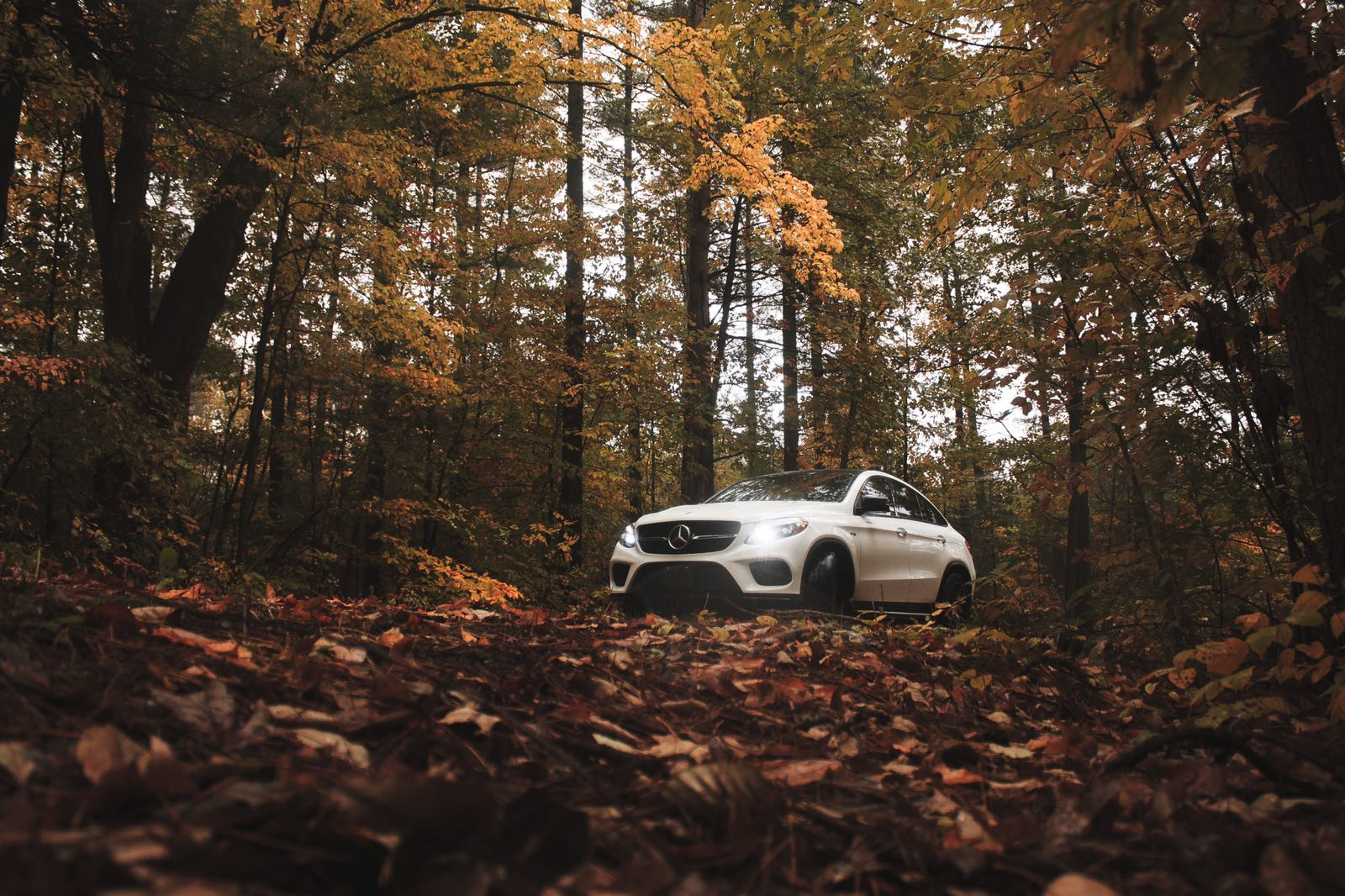 Капот в лесу. Мерседес осень. Mercedes осенью. Мерседес в лесу осень. Машина в осеннем лесу.