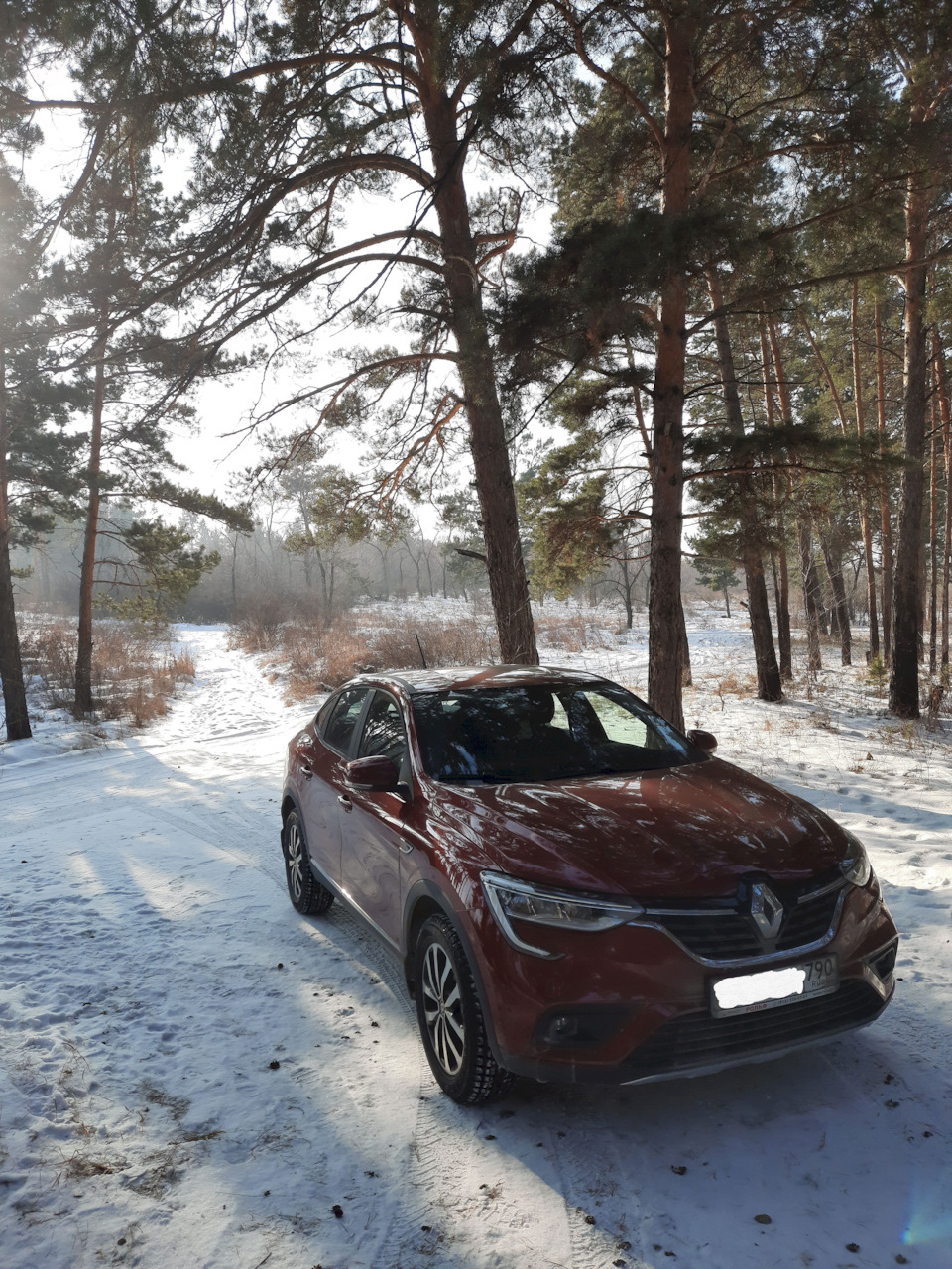 Новосибирск > Абакан — Renault Arkana, 1,6 л, 2020 года | путешествие |  DRIVE2