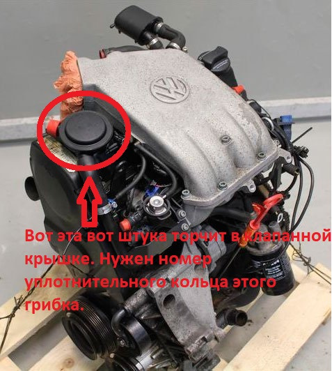 Двигатель vw 1.6. Двигатель гольф 3 1.6 aft. VW aft 1,6. Мотор 1.6 Фольксваген. Двигатель AEK 1.6.