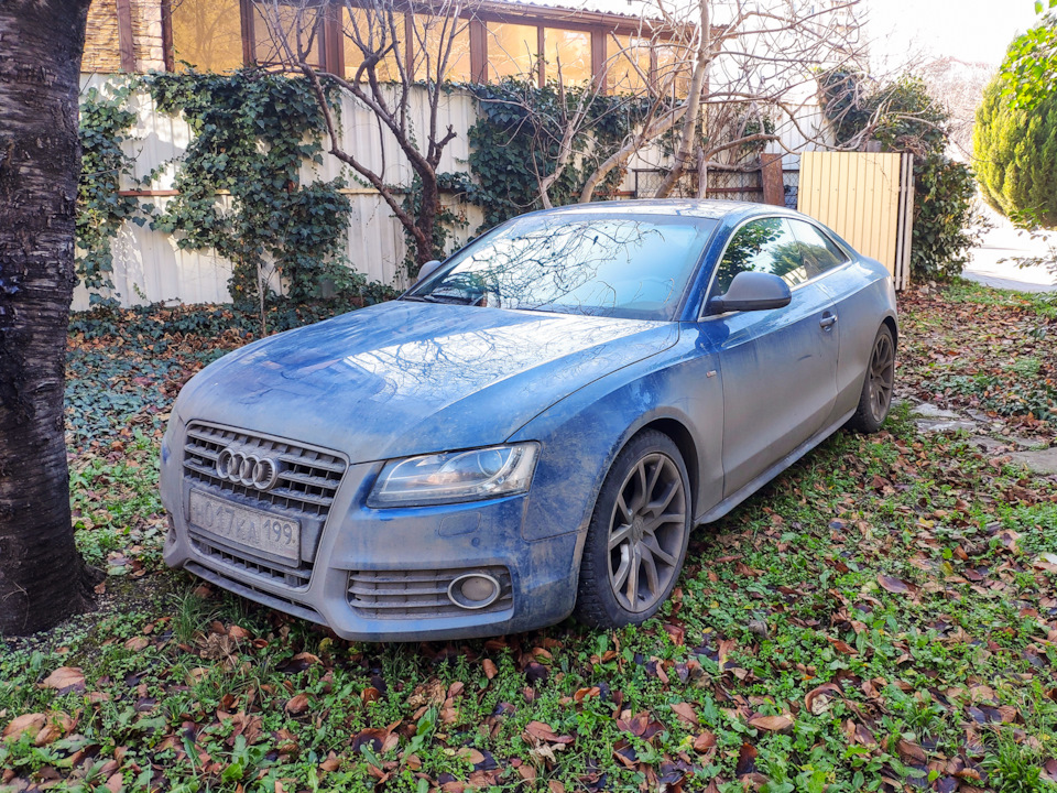 Чтобы не менять ремень в Москве, на морозе, решил поехать на новогодние праздники в Геленджик. Там +15 и солнце, менять ремень удобнее. — Audi A5 (1G)