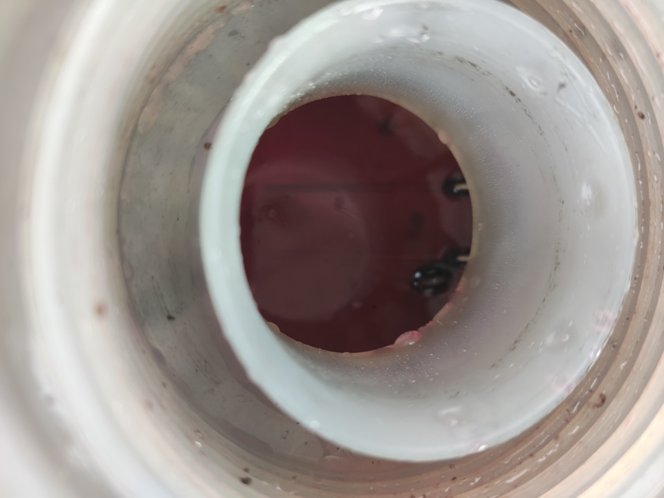 Масло в бачке ОЖ октавия 1.8 gen3 — Сообщество «VAG Club» на DRIVE2