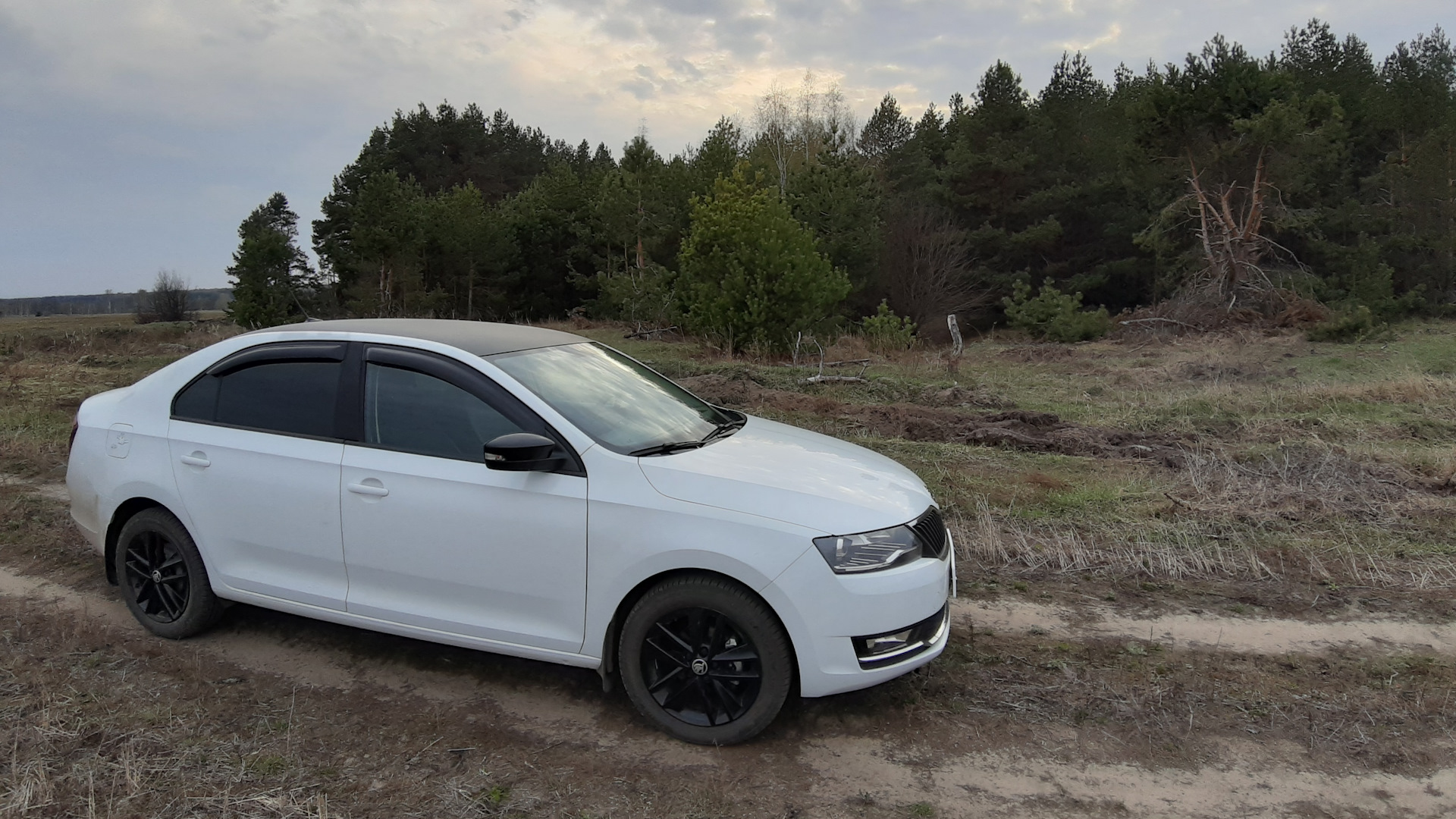 Skoda Rapid (1G) 1.6 бензиновый 2017 | Светлый сон на DRIVE2