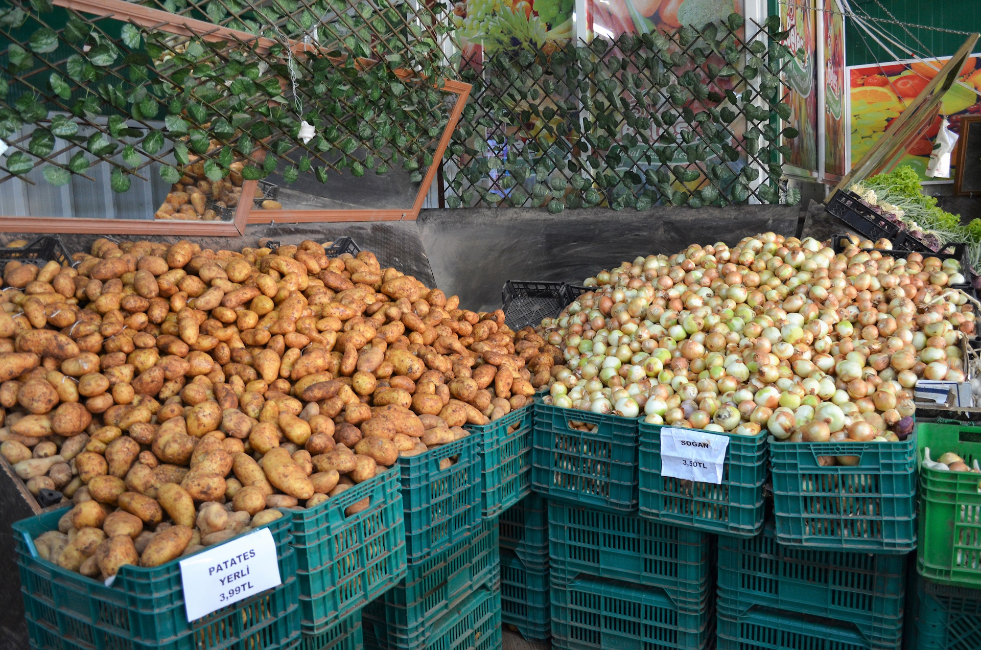 Cyprus shopping. Северный Кипр продуктовый магазин. Северный Кипр китайский рынок.