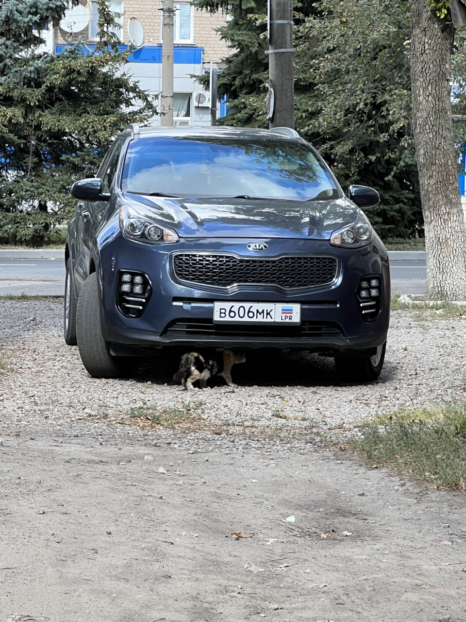 5 Замена задних ступичных подшипников. — KIA Sportage (4G), 2,4 л, 2016  года | расходники | DRIVE2