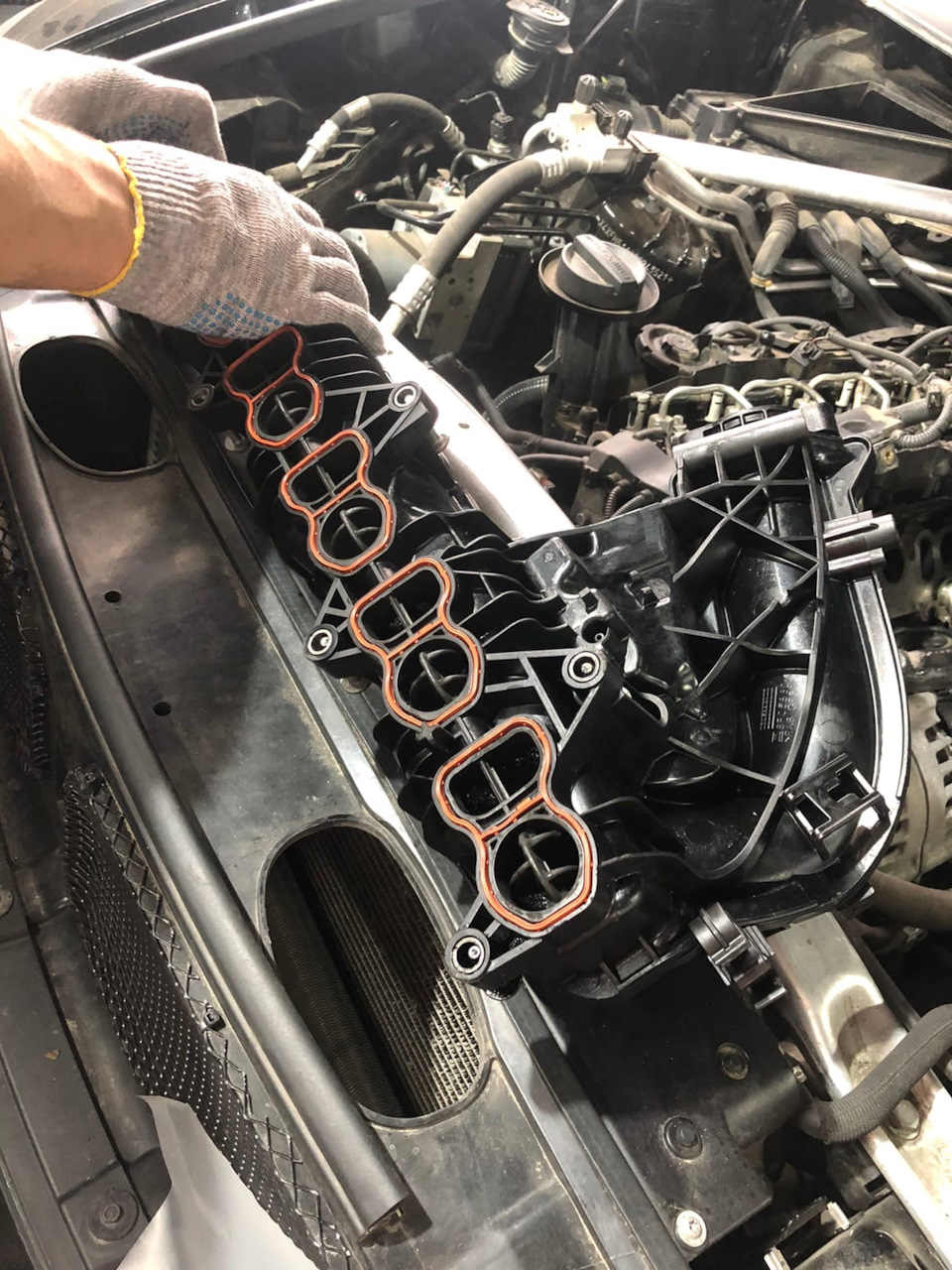 Фото в бортжурнале BMW X6 (E71/E72)