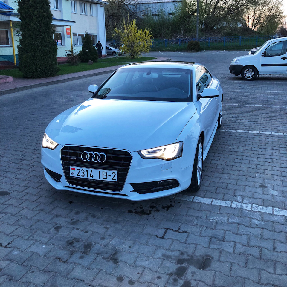 Ауди белоруссия. Audi a5 Coupe. Audi a5 купе 2014. Audi a5 2006. Ауди а5 2000.