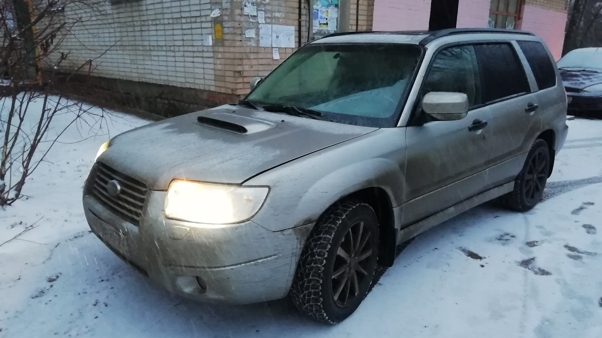 Subaru Forester (SG) 2.5 бензиновый 2006 | 