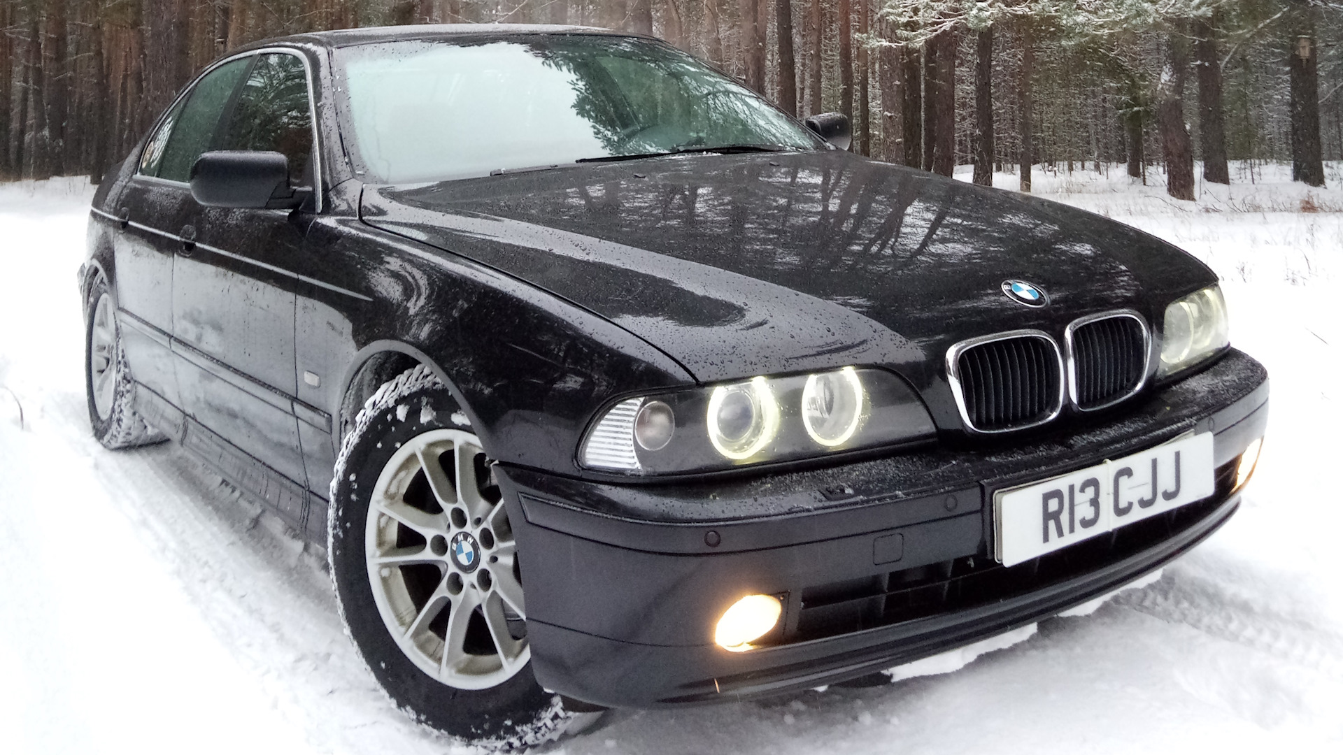 BMW 5 series (E39) 2.2 бензиновый 2001 | 