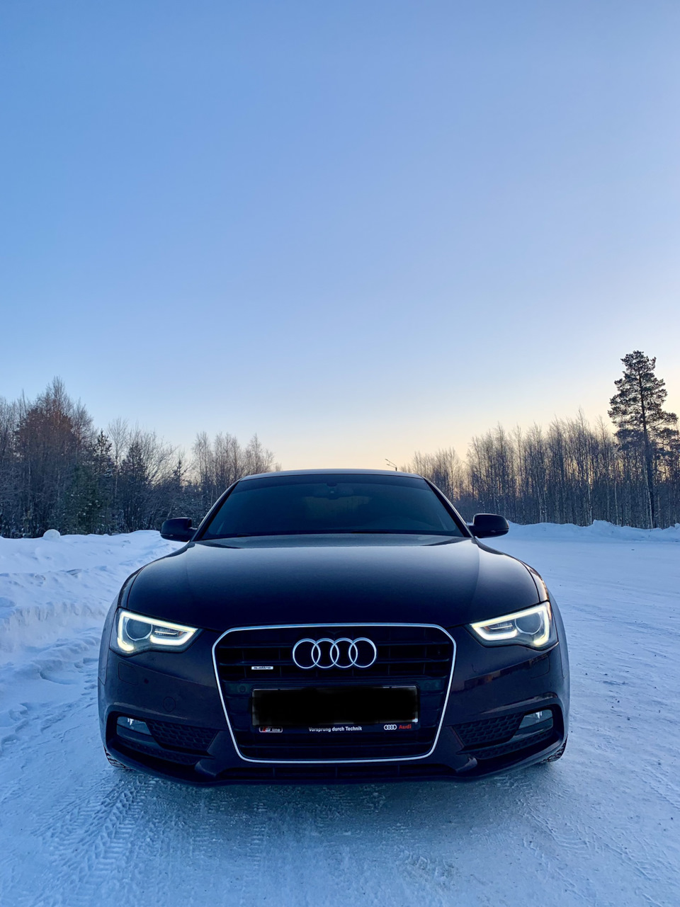 1. Покупка авто и первые впечатления — Audi A5 Sportback (1G), 2 л, 2012  года | покупка машины | DRIVE2