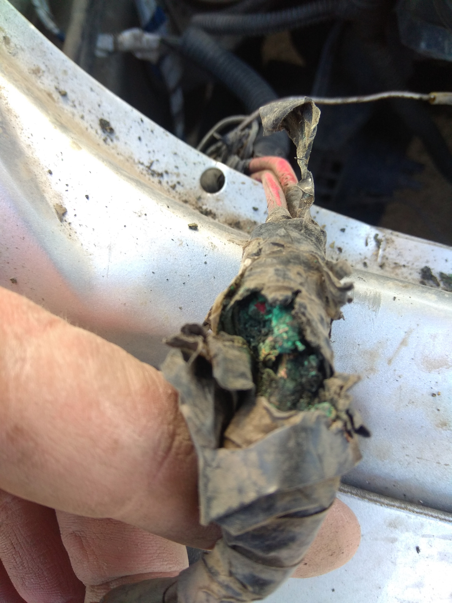 Отгнил разъем фишки вентилятора w211. Датчик уровня пневмы прадо 120 отгнил разъем. Сгнил разъем лампы. Сгнил разъем. Сгнил разъем.