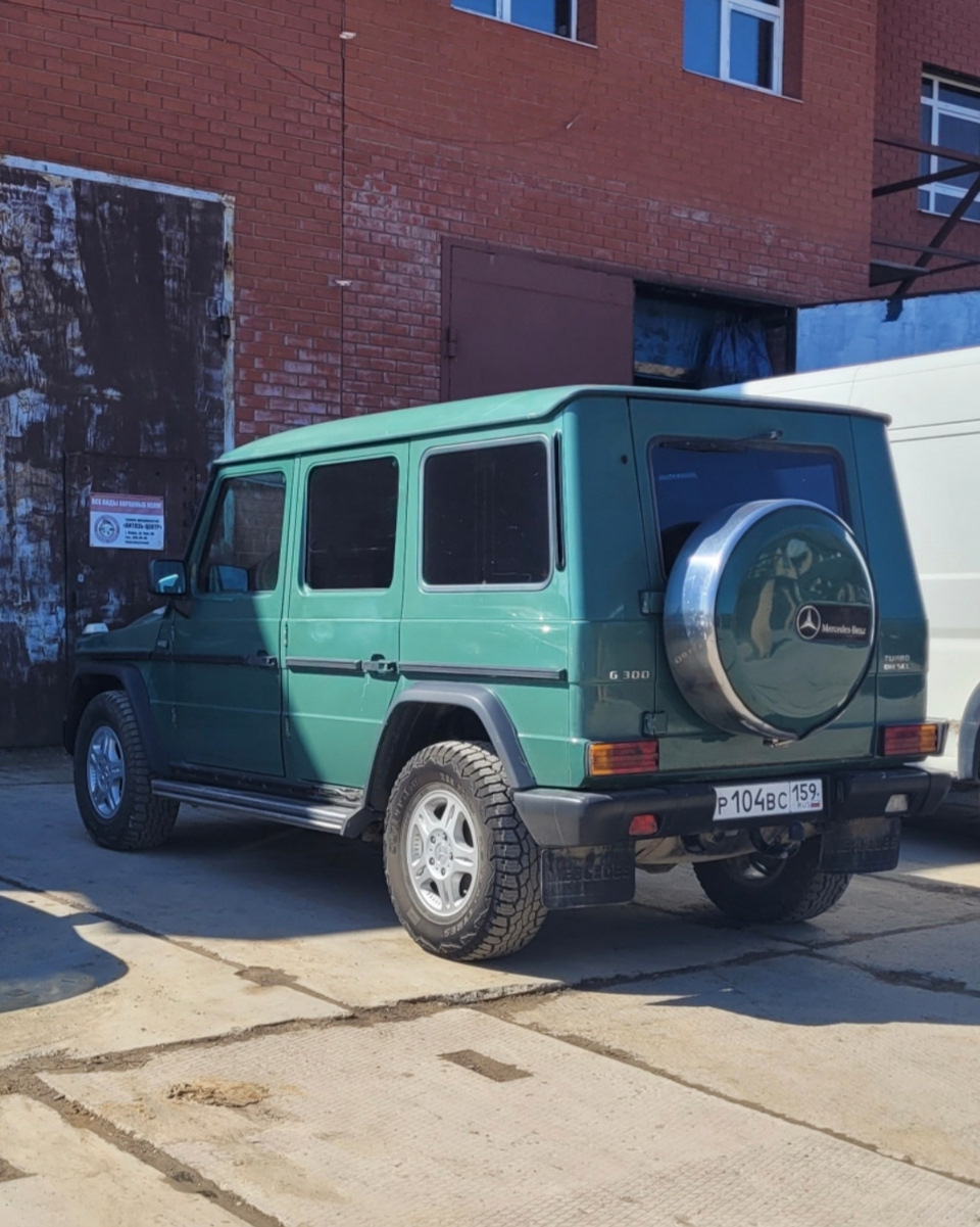 Видишь рыжики? А они есть… — Mercedes-Benz G-Class (W463), 3 л, 1997 года |  кузовной ремонт | DRIVE2