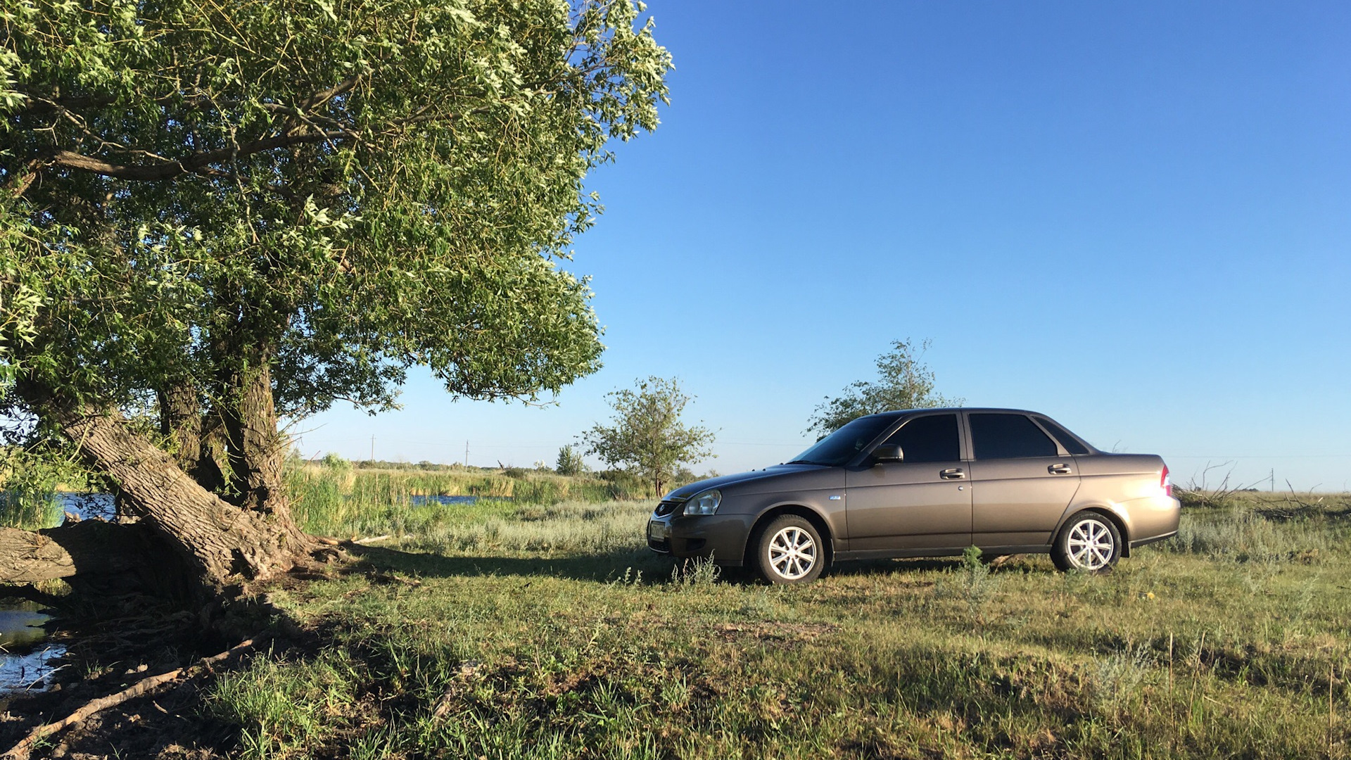 Lada Приора седан 1.6 бензиновый 2014 | Кориандр-Шоколадка на DRIVE2