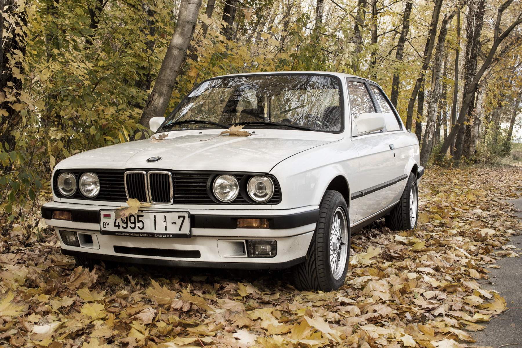 Концепции E30 или зачем нужна еще минимум одна E30 — BMW 3 series Coupe  (E30), 1,8 л, 1989 года | другое | DRIVE2