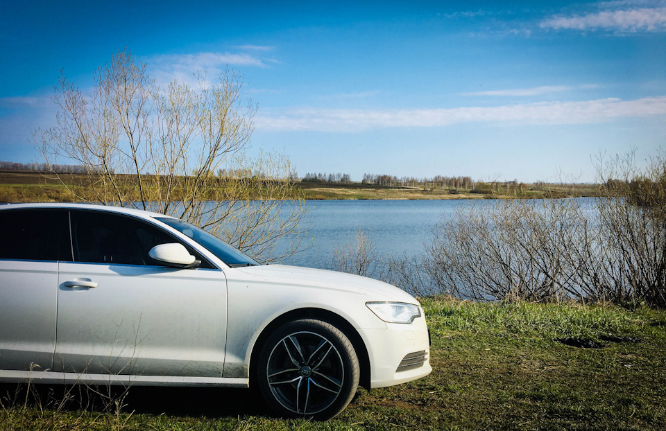 Фотография «Вырвались погреться на солнышке, первый приятный день весны ...