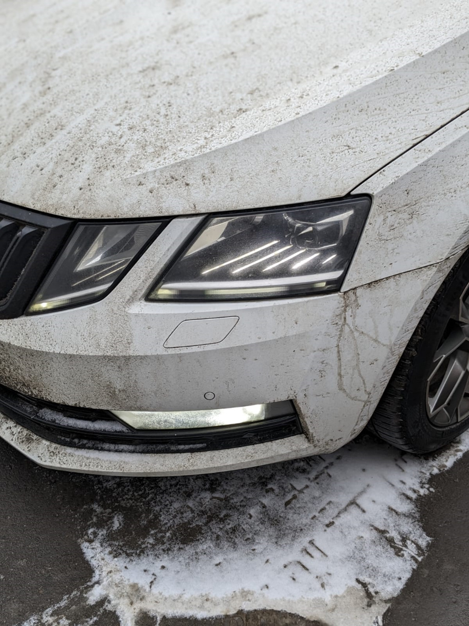 Расходники для ТО Skoda Octavia A7 FL и тонкости подбора запчастей VAG —  Skoda Octavia A7 Mk3, 1,4 л, 2018 года | расходники | DRIVE2