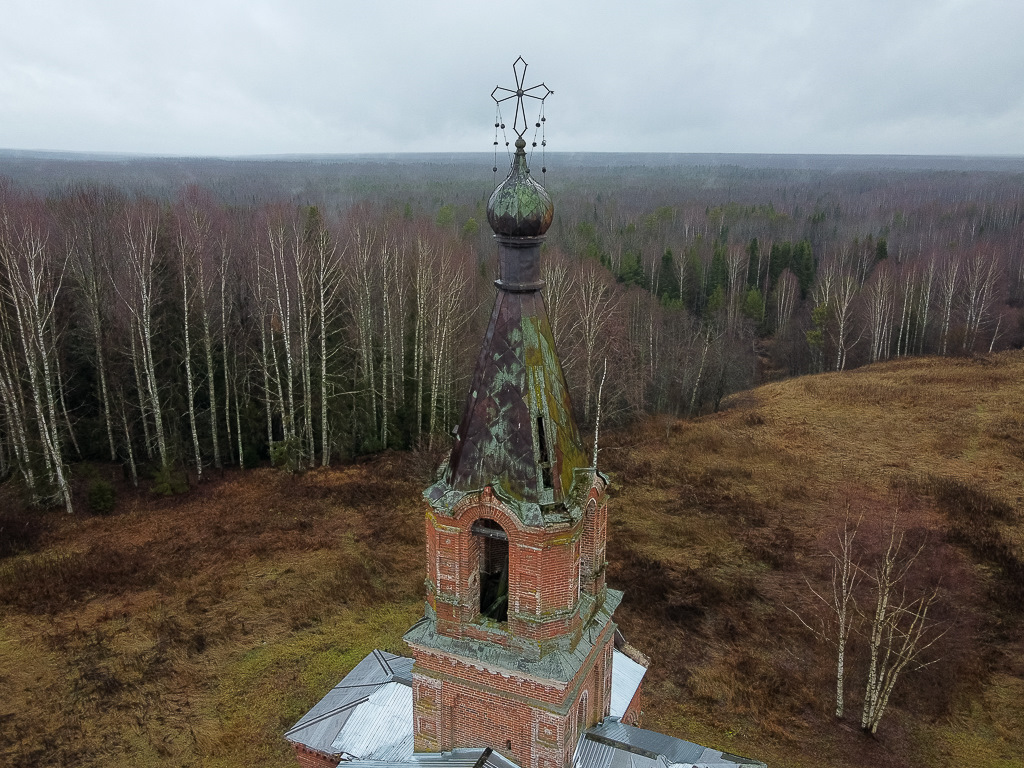 Елево Белохолуницкий район