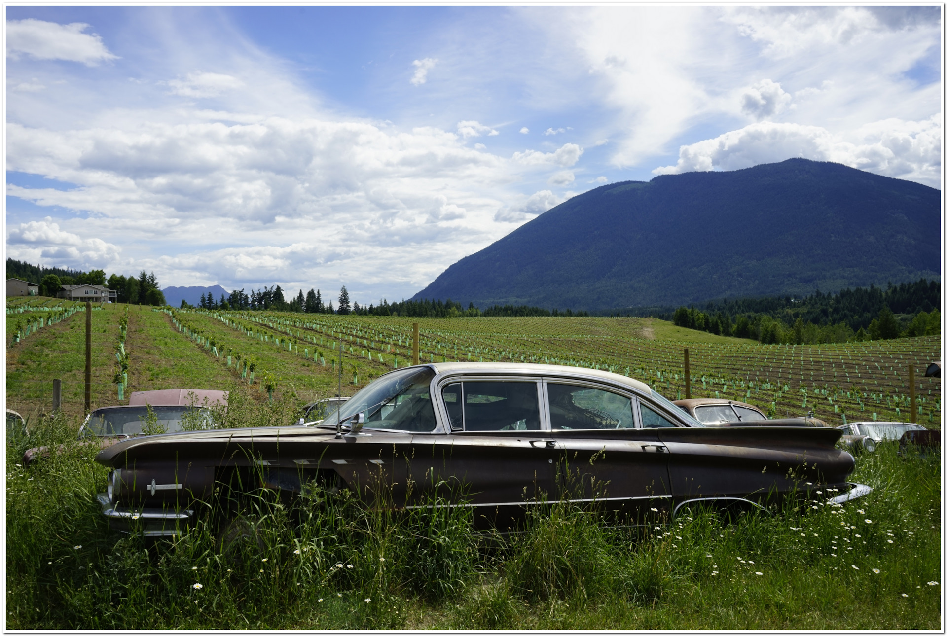 Rust valley restorers: Field of dreams — «Автошоу, музеи, выставки» на  DRIVE2