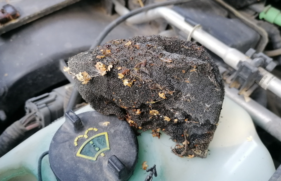 Фото в бортжурнале Lincoln Town Car III