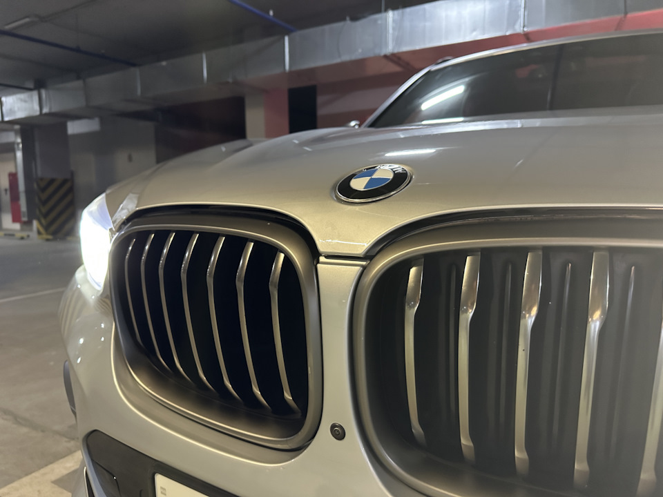 Покрытие защитной пленкой. — BMW X3 (G01), 3 л, 2018 года | другое | DRIVE2