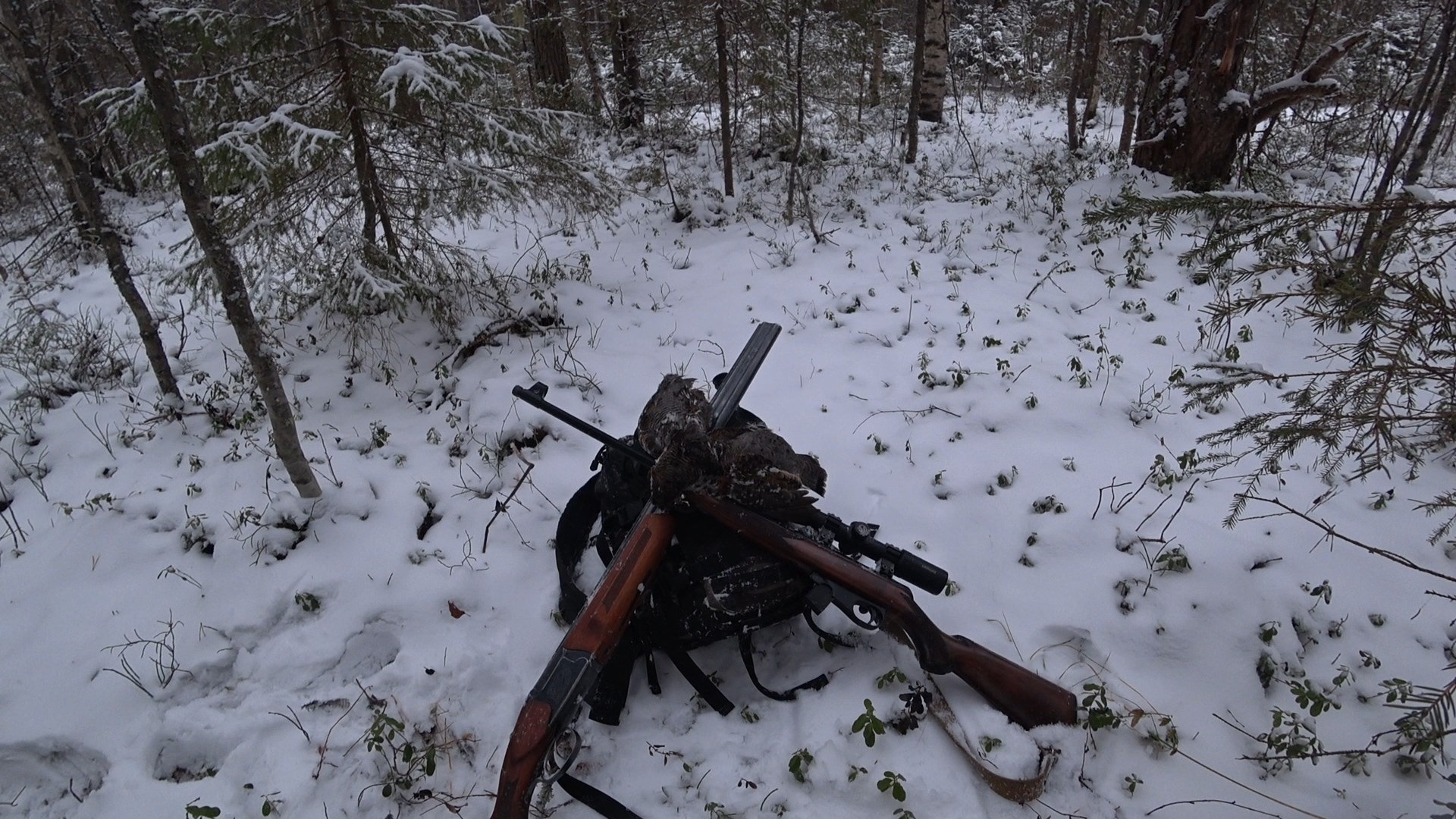 Охота с ружьями Иж-27 ЕМ и Тоз-78-04М 22LR на рябчика. — Сообщество «Охота  и Рыбалка» на DRIVE2