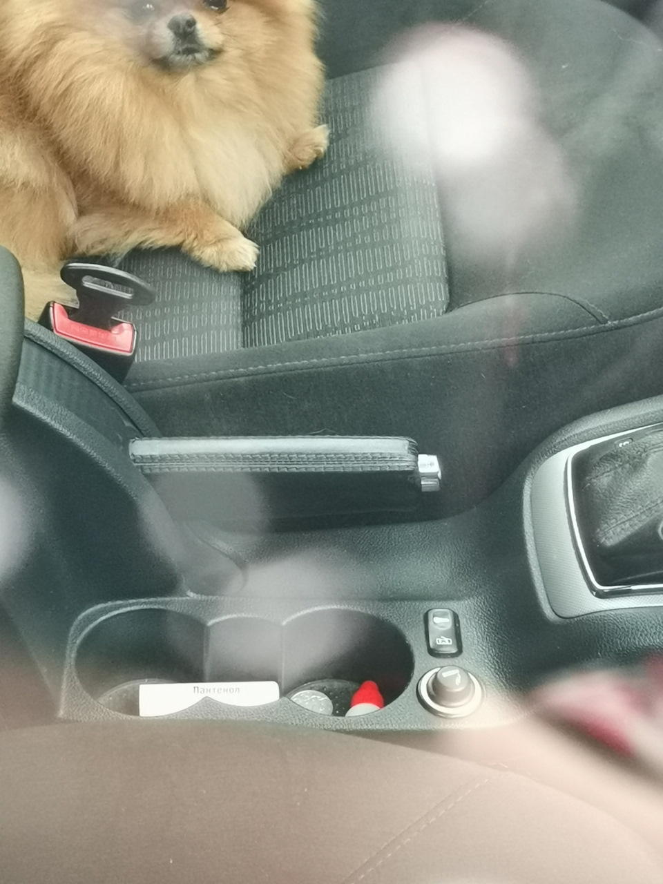 Блокировка дверей — Skoda Octavia A5 Mk2, 1,8 л, 2011 года | другое ...