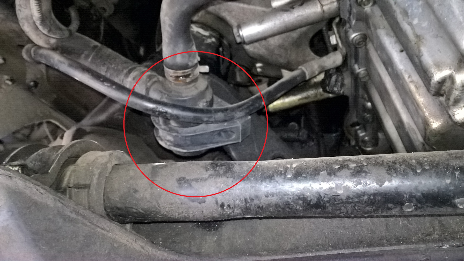 Снятие блокировки вебасто термо топ с. Webasto thermo top v бензин. Резистор печки вебасто 5000. Вебасто запускается немного работает и глохнет. Сброс ошибок webasto.