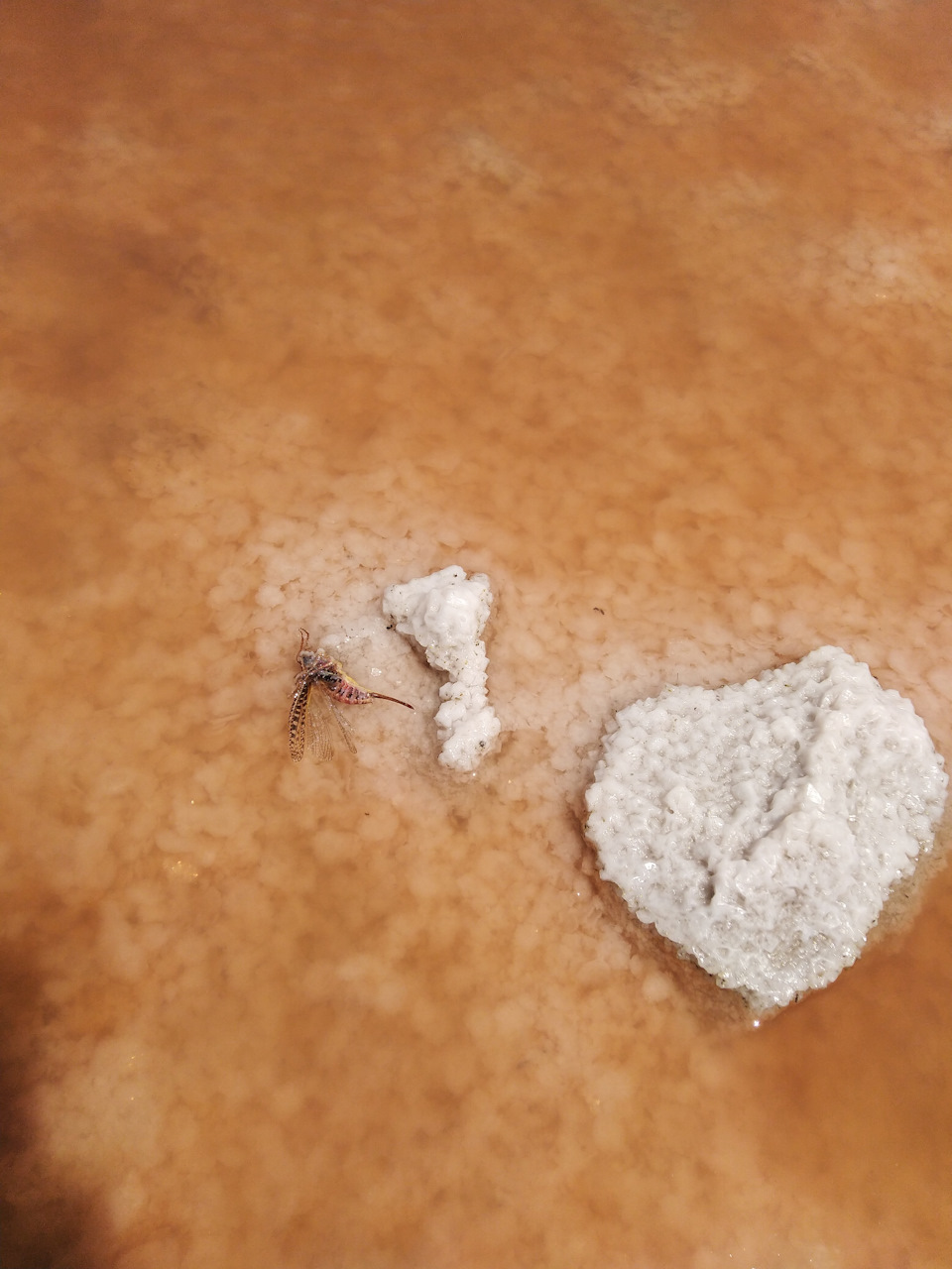 Фото в бортжурнале Toyota Sequoia (1G)